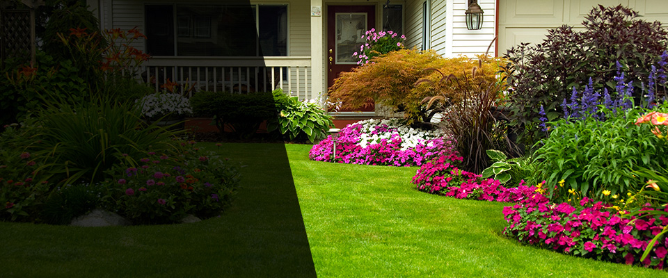 Toledo Landscapers